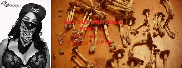 MDMA Михайловка