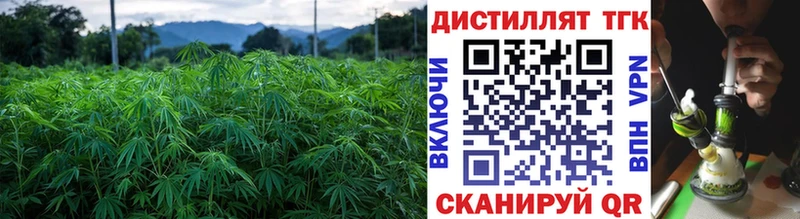 Купить где  Котельники  Дистиллят ТГК вейп 