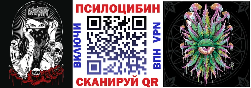 Купить закладки  Котельники  Псилоцибиновые грибы Psilocybine cubensis 