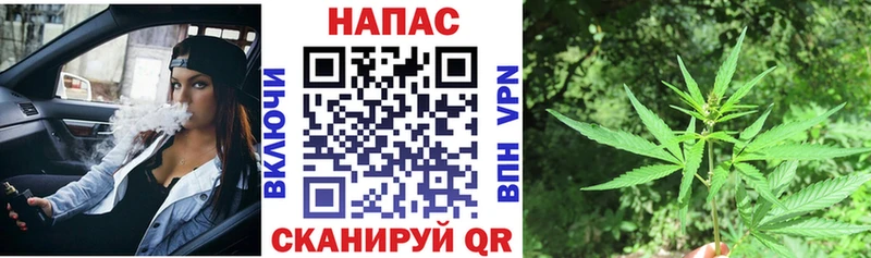 Бошки Шишки планчик Купить Котельники